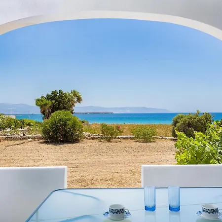 Zeta クリシ・アクティ